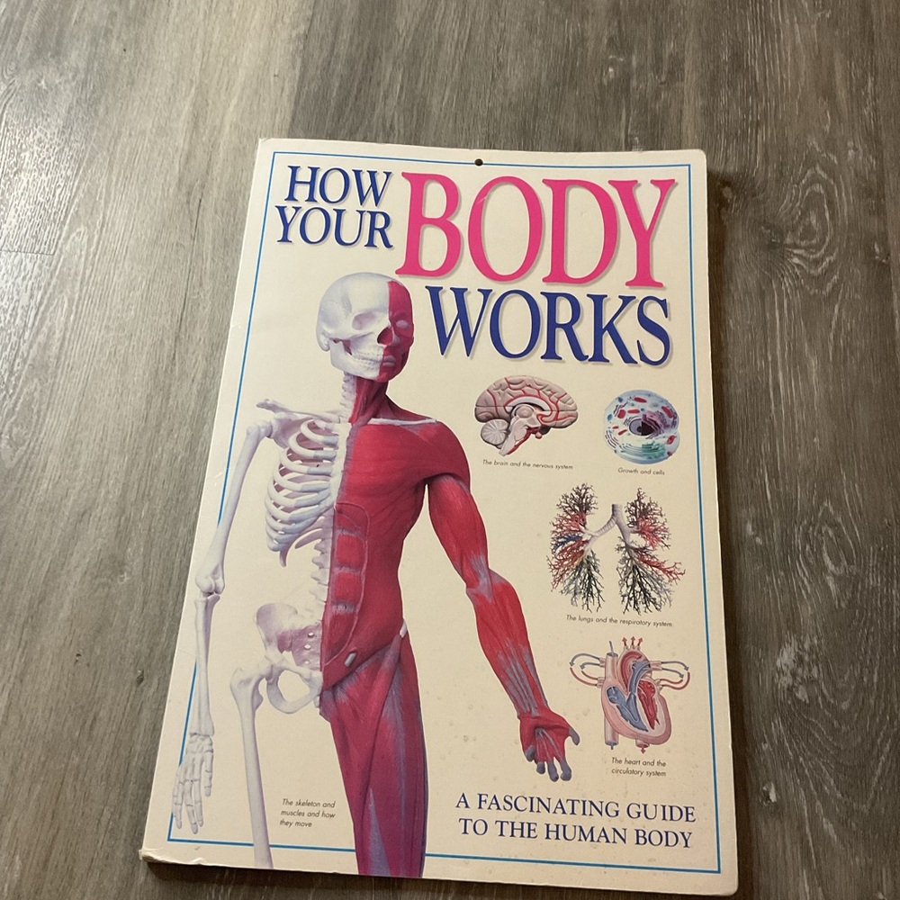 How Your Body Works giant Book